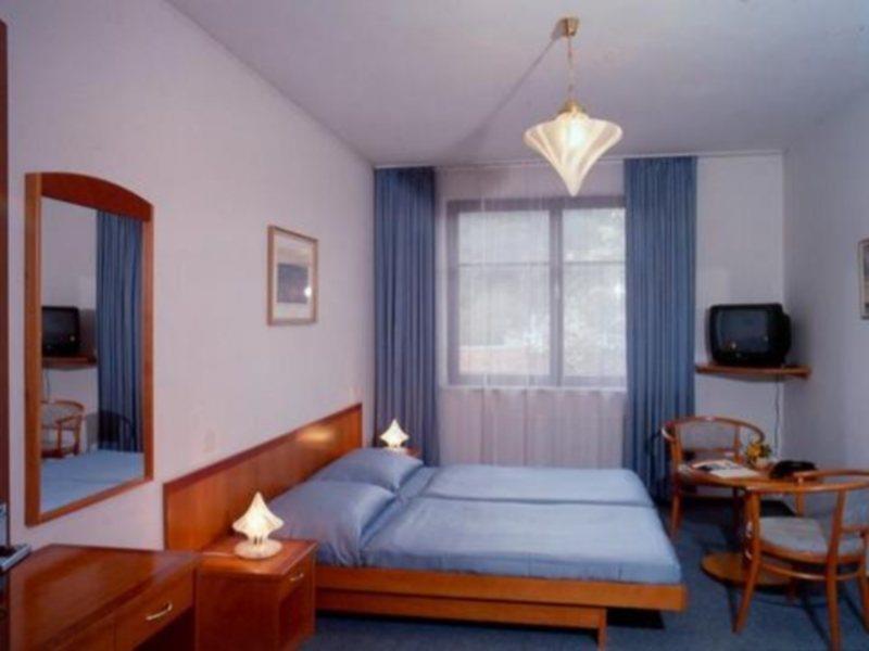 达利米尔酒店 布拉格 客房 照片